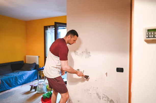 Trusted Story City, IA Mold Removal Experts